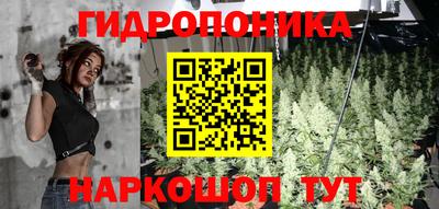 винт Дубна