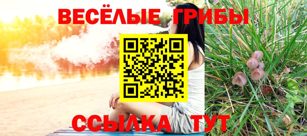 Псилоцибиновые грибы ЛСД Кызыл