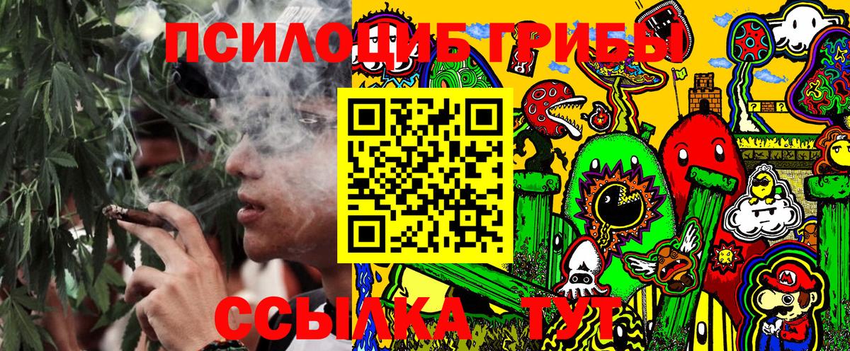 Кызыл  Галлюциногенные грибы GOLDEN TEACHER  Вход с VPN  Галлюциногенные грибы Psilocybine cubensis 